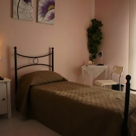 Quasimodo 칼타기론