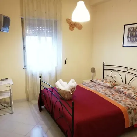 Quasimodo 3* 칼타기론